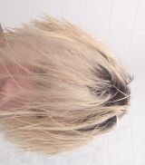 Миниатюра Мужчина Rab_bunkera Ленинский Фотография 